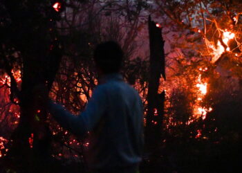 Argentina, dichiarata l’emergenza incendi in Patagonia