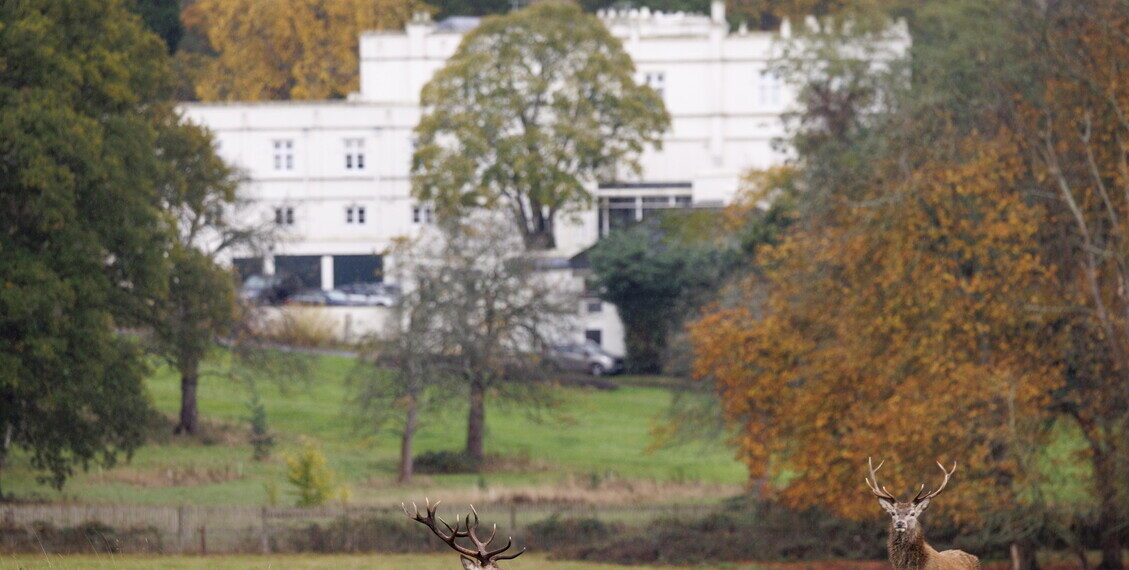 Bbc, ‘l’ex principe Andrea ha lasciato la residenza di Windsor’