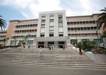 Bimbo trapiantato a Napoli, il legale della famiglia: “Iniziate le cure per il dolore”