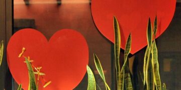 L’amore fa bene al cuore, lo dice la scienza: ecco cosa cambia se si è in coppia