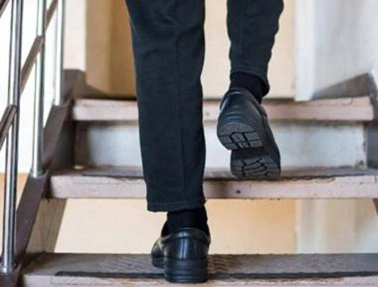 Salire (e scendere) le scale fa bene anche al cervello, lo studio